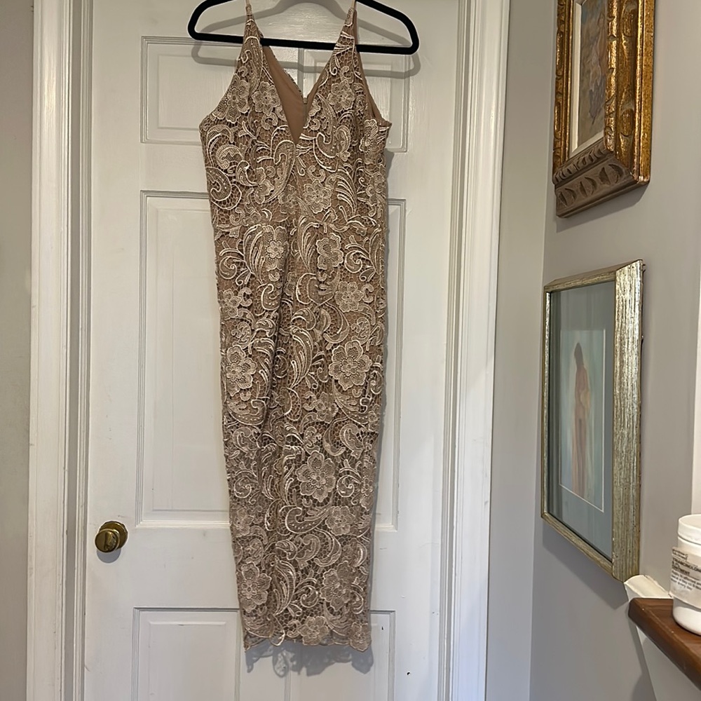 Dress the Population lace dress (worn once). Size XL, but fits more like a large